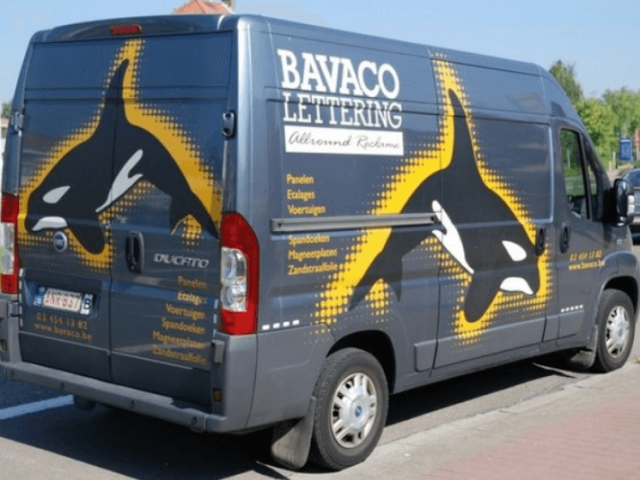 BAVACO LETTERING