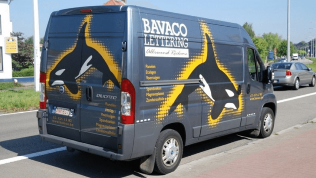 BAVACO LETTERING