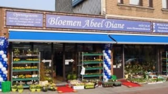 Bloemen Abeel Diane