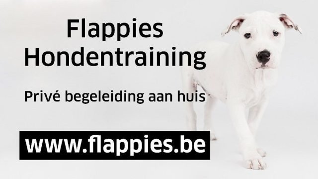 Flappies hondentraining