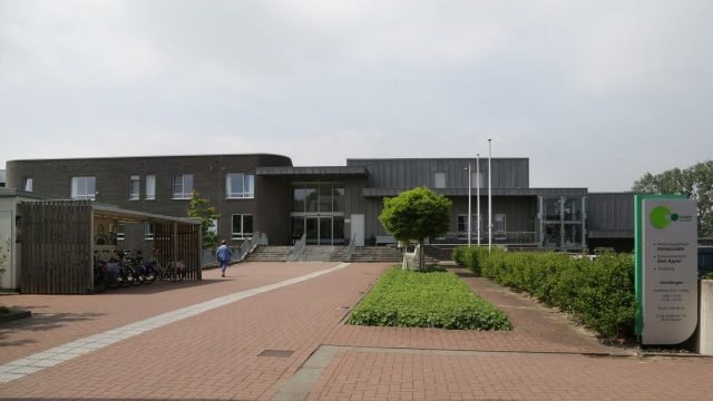 Immaculata