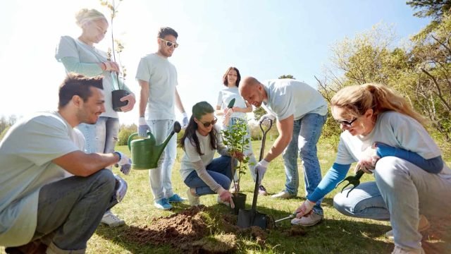 Boomplantactie