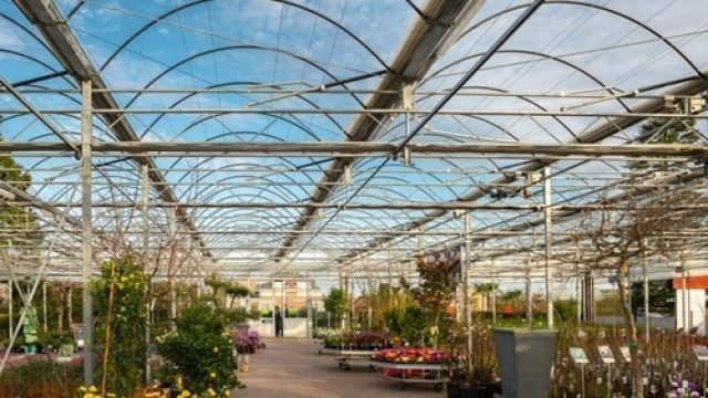 Plantencentrum Mampay